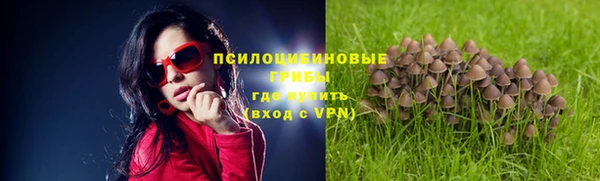 твердый Лабытнанги